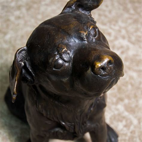 bronze dog sculpture  franz canins   sale  pamono