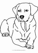 Ausmalbilder Hunde Labrador Retriever Zeichnen Dibujar Dog Tiere Mascotas Zeichnung Ausmalen Hundekunst Waldtiere Tiermotive Eule Corso Puppy Drawing sketch template