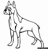 Dog Boxer Coloring Dogs Pages Trace Colouring Outline Puppy Color Drawing Template Kids Colors Realistic Print Clipart Thecolor Draw Clipartmag sketch template