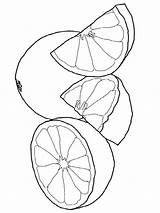 Grapefruit Coloring Pages Print Fruits Recommended sketch template