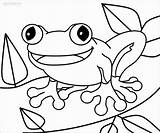 Toad Coloringbay sketch template