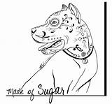 Skull Coloring Pages Sugar Pitbull Dog Tattoo Sketchite sketch template