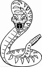 Snake Coloring Pages Snakes Drawing Rattlesnake Kids Easy Rainforest Anaconda Animal Cobra Sea Color Scary Jungle Printable Drawings Viper Animals sketch template