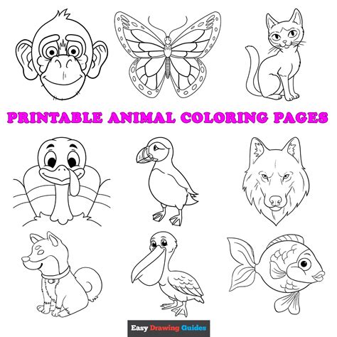 printable animal coloring pages  kids