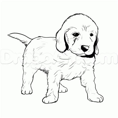 golden retriever coloring page golden retriever coloring pages