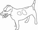 Russell Terrier Cani Lassie Quando Vengono Dolcezza Usate Segno Matite Coloringpagesforadult sketch template