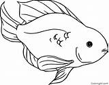 Parrotfish Coloringall sketch template