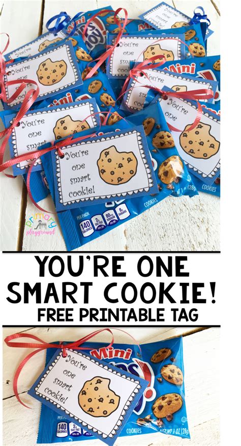 youre  smart cookie  printable tag primary playground