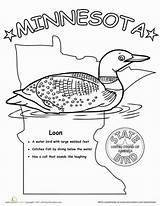 Minnesota Bird Worksheets sketch template