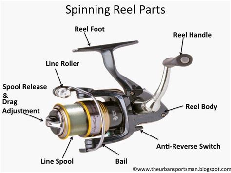 spinning reel understanding   types  fishing reels casting jigs  bait