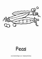 Colouring Peas Pages Food Drink Activity Colour Village Explore Pod Activityvillage sketch template