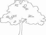 Tree Silhouette Outline Vector Silhouettes Svg Coloring Pages sketch template