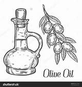 Oil Olive Coloring Bottle Bottles Superfood Branch Berry Leaf Choose Board sketch template