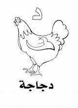 Arabic Coloring Pages Alphabet Daal Hen Print Color Sheet Button Through sketch template