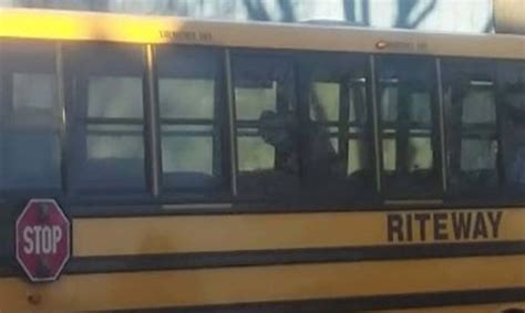 driver filmed having sex with woman on school bus in