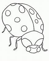 Coloring Pages Insect Bug Popular sketch template