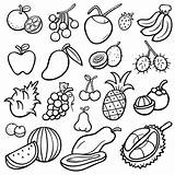 Frutas Verduras Owoce Kolorowanka Owoców Fruits Zestaw Impresas Recursos Rysunki Wektory Ilustracje Stockowe sketch template