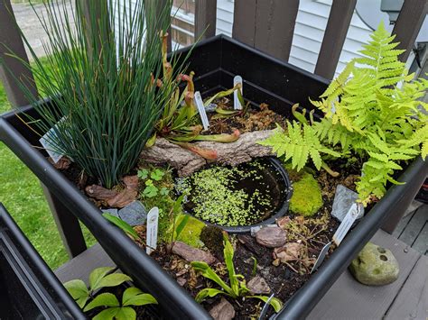 update   outdoor container bog garden wv rsavagegarden