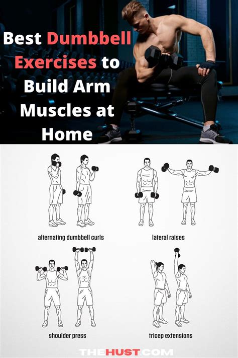 dumbbell arms home workout plan    dumbbell exercises build arm muscle