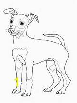 Coloring Pages Pinscher Dog Puppy Miniature Doberman Rottweiler Weimaraner Printable Schnauzer Drawing Sheets Jack Colouring Print Mini Color Weiner Cute sketch template