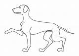 Perro Hund Hond Dibujo Malvorlage Gratis Cane Grandes Kleurplaten sketch template