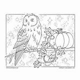 Coloring Pages Adult Owl Halloween Books Premium Click sketch template
