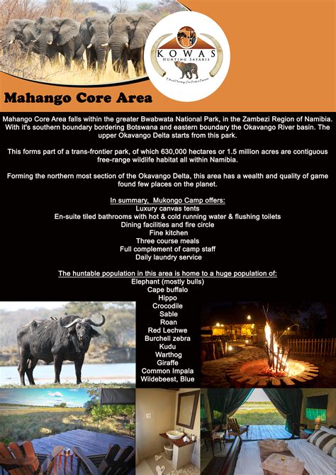 trophy buffalo hunt special namibia bwabwata national park
