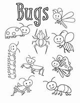 Bugs Coloring Pages Bug Insects Insect Sheets Preschool Printable Colouring Worksheets Activities Kids Sheet Funnycrafts Print Spring Template Summer Easy sketch template