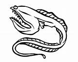 Eel Eels Sea Moray Creature Designlooter Clipartmag sketch template