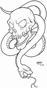 Skull Snake Drawing Getdrawings sketch template