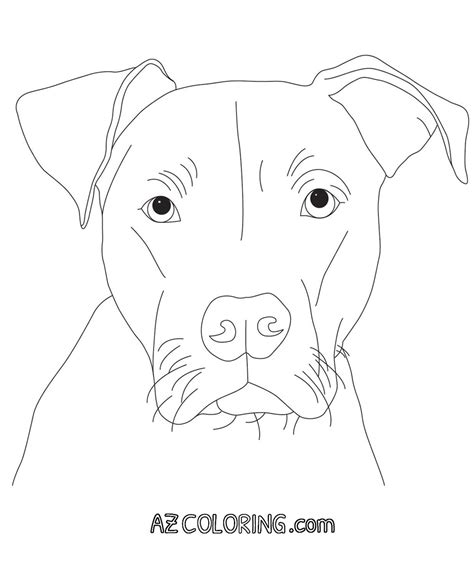 printable pitbull coloring pages