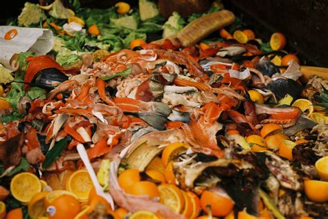 afield seattle bans food waste freshkills park