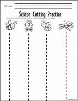 Preschool Worksheets Activities Cutting Practice Tracing Bug Printables Insect Printable Scissor Kindergarten Writing Prek Teacherspayteachers Visit sketch template