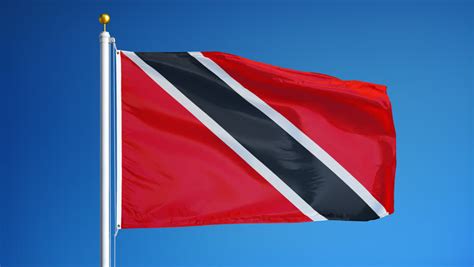 flag  trinidad  tobago waving  white background stock footage