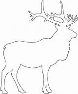 Elk Silhouette Outline Drawing Silhouettes Coloring Pages Vector sketch template