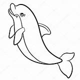 Delfin Salvajes Malvorlagen Delphin sketch template