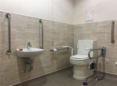 handicap toilet  top brands review
