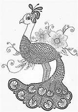 Coloring Peacock Zentangle Peacocks Zentangles Pages Doodle sketch template