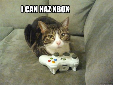 xbox gamerpics  memes  teary eyed meme memes sad cat images