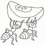 Hormigas Formiga Ants Colorat Hormiga Ant Furnici Fourmi Animale Formigas Planse P02 Trabajadora Fourmis Animadas Primiiani Tamanoir Altruisme Comportement Shs sketch template
