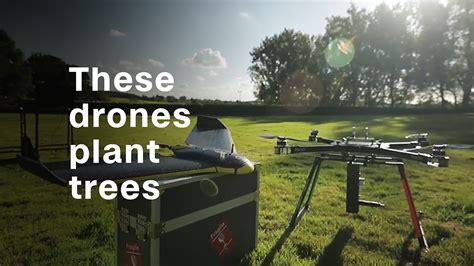 tree planting drones hope  fight deforestation video technology