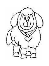 Coloring Lamb Easter Pages Lambs Silly sketch template