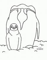 Emperor Penguin Coloring Print Baby Popular Coloringhome Cartoon sketch template