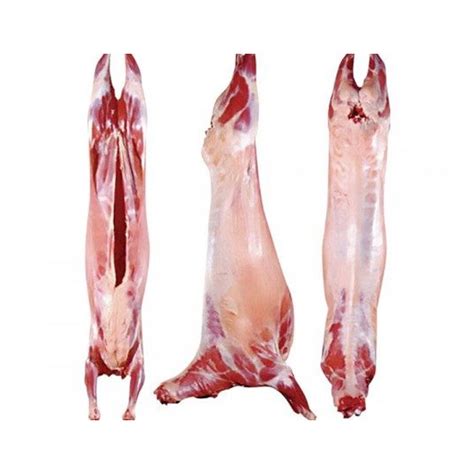 baby lamb wholesale prices suppliers