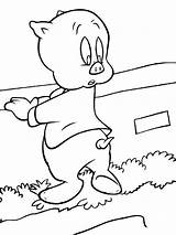 Porky Coloring Pig Pages Tunes Looney Printable Drawing Popular Color sketch template