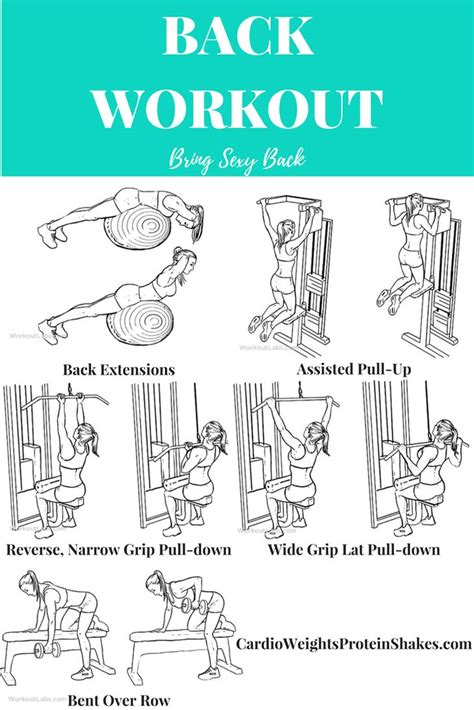 workout exercises workout exercises  strengthen