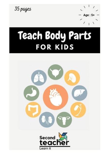 teach body parts  kids learn  identify body parts fun body parts illustration  kids