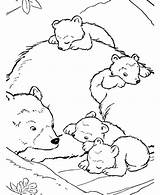 Bear Coloring Baby Polar Pages Their Bears Mother Color Colouring Kidsplaycolor Printable Animals Animal Getcolorings Kids Forest Farm sketch template