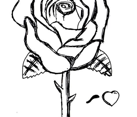 rose garden drawing    clipartmag