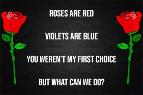roses are red violets are blue funny poems riddlester